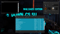  CS 1.6 WallHack Edition